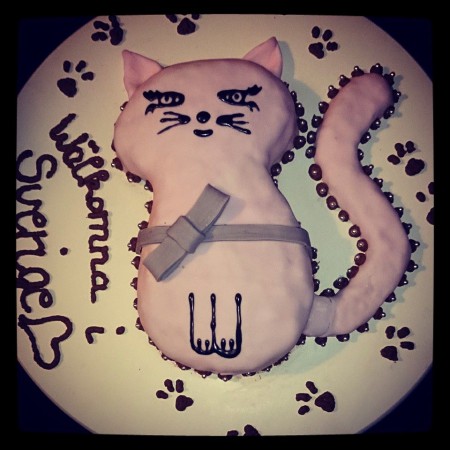 Cicabőrbe bújt csokoládé torta